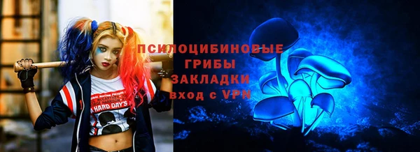 тгк Абаза