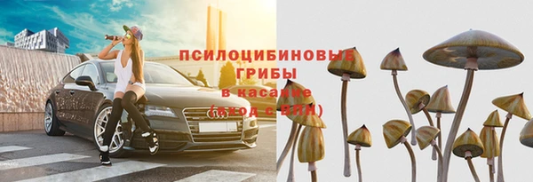 тгк Абаза
