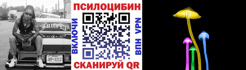 Галлюциногенные грибы Psilocybine cubensis  наркота  Благовещенск 