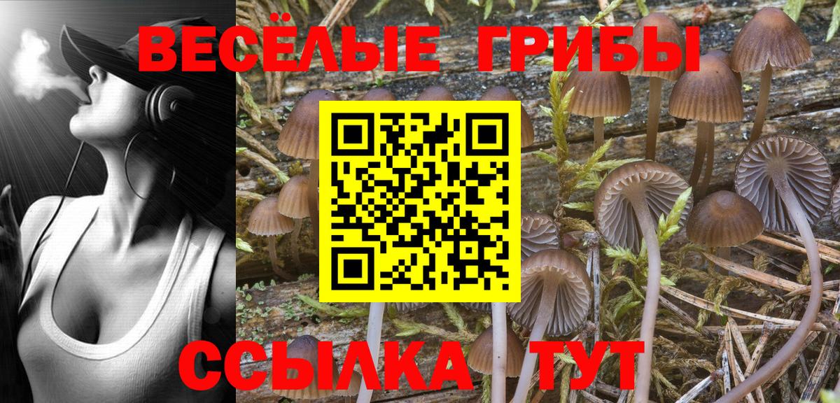 Галлюциногенные грибы GOLDEN TEACHER Благовещенск