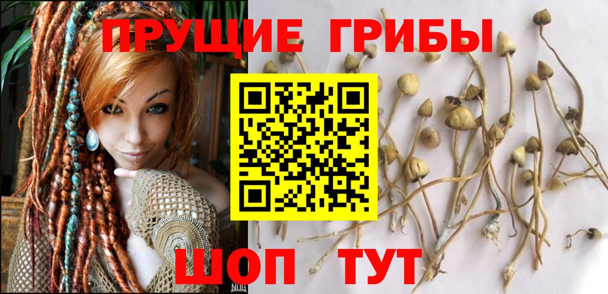 Благовещенск  Галлюциногенные грибы мухоморы  Вход с VPN  Псилоцибиновые грибы Psilocybine cubensis 