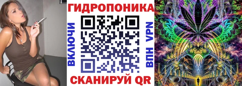 Конопля OG Kush Благовещенск
